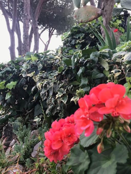 Villa Barabarca 카폴리베리 외부 사진